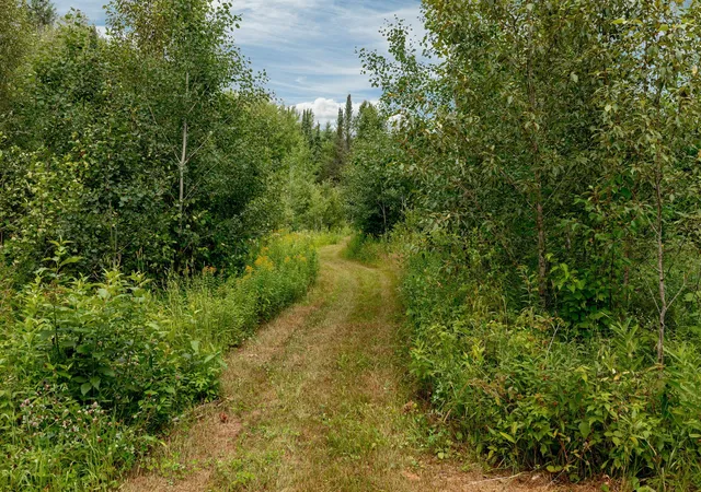 Photo 3 of Land for sale at 57865 Great River Rd, Palisade, MN 56469 | MLS# 7121417 | Listing updated on 2026-08-05