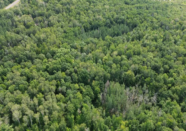 2nd image of 22751 County Road 1, Emily, MN 56447 | MLS# 7121475