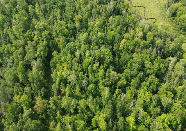Photo 3 of Land for sale at 22751 County Road 1, Emily, MN 56447 | MLS# 7121475 | Listing updated on 2026-08-24