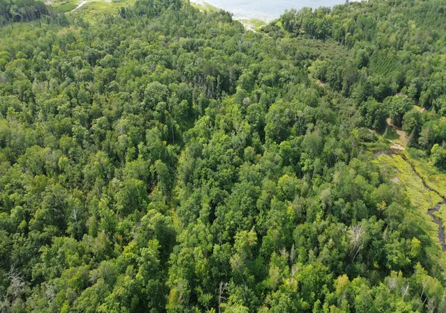 Photo 3 of Land for sale at 22751 County Road 1, Emily, MN 56447 | MLS# 7121475 | Listing updated on 2026-08-24