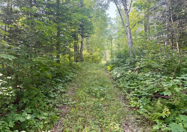 5th image of 22751 County Road 1, Emily, MN 56447 | MLS# 7121475