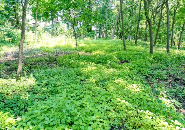 10th image of Tbd 219th Street N, Forest Lake, MN 55025 | MLS# 7121550
