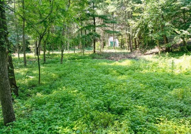1st image of Tbd 219th Street N, Forest Lake, MN 55025 | MLS# 7121550