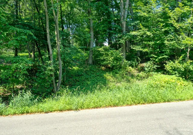 Photo 4 of Land for sale at Tbd 219th Street N, Forest Lake, MN 55025 | MLS# 7121550 | Listing updated on 2026-08-21