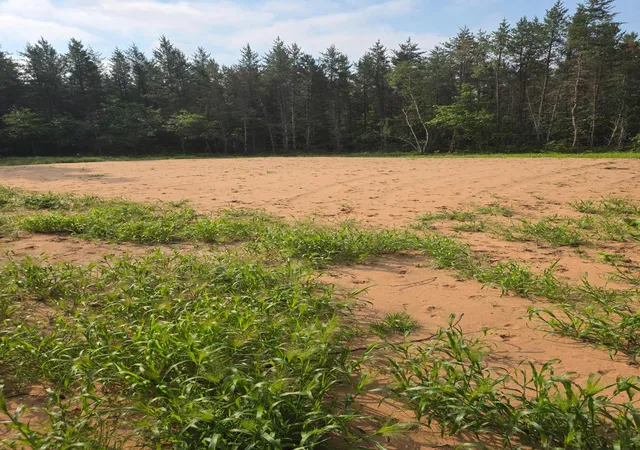 2nd image of 25942 Clark Rd, Webster, WI 54893 | MLS# 7121578