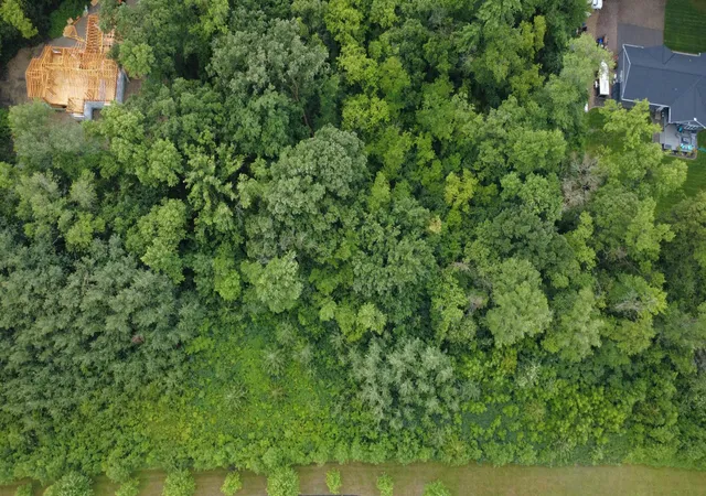 Photo 4 of Land for sale at Tbd Elderberry Ct, Glencoe, MN 55336 | MLS# 7121584 | Listing updated on 2026-08-18
