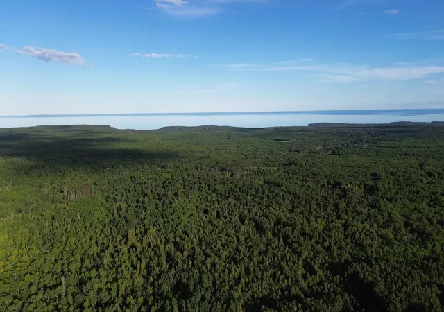 Photo 1 of Land for sale at 12xx Reeves Rd, Two Harbors, MN 55616 | MLS# 7121617 | Listing updated on 2026-08-31
