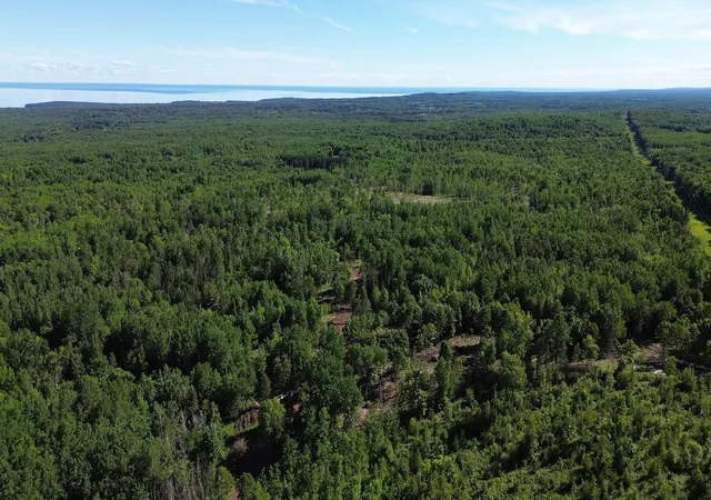 Photo 4 of Land for sale at 12xx Reeves Rd, Two Harbors, MN 55616 | MLS# 7121617 | Listing updated on 2026-08-31