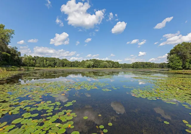 5th image of 3693 Tending Green, Stillwater, MN 55082 | MLS# 7121621