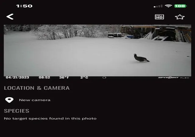 13th image of 10650 W Toivola Rd, Meadowlands, MN 55765 | MLS# 7121742