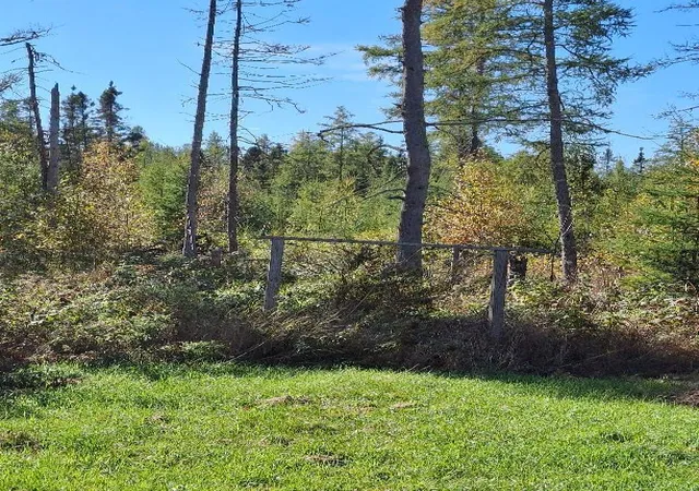 Photo 4 of Land for sale at 10650 W Toivola Rd, Meadowlands, MN 55765 | MLS# 7121742 | Listing updated on 2026-10-07