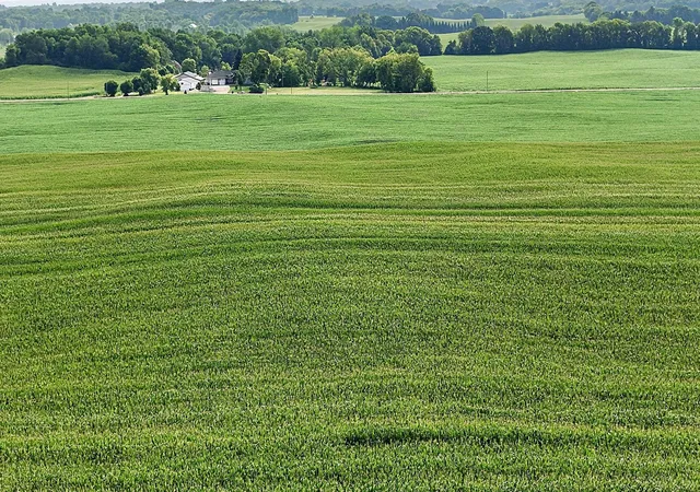 Photo 3 of Land for sale at 8186 85th Street NE, Monticello, MN 55362 | MLS# 7121799 | Listing updated on 2026-08-06