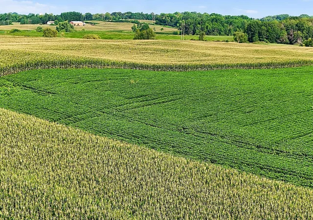 Photo 4 of Land for sale at 8186 85th Street NE, Monticello, MN 55362 | MLS# 7121799 | Listing updated on 2026-08-06