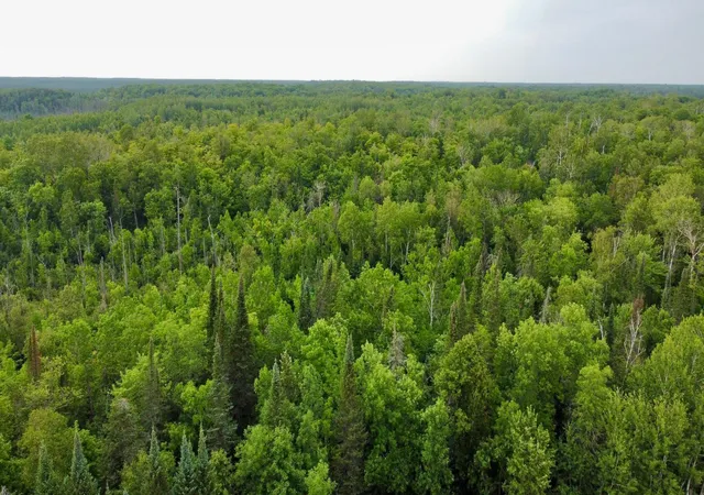 1st image of 15512 Hwy 27, Sturgeon Lake, MN 55783 | MLS# 7121850