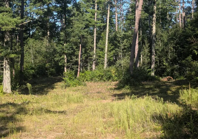 Photo 2 of Land for sale at 3380 W Highway 63, Springbrook, WI 54875 | MLS# 7121855 | Listing updated on 2026-09-02