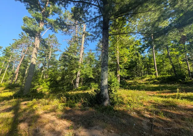 Photo 2 of Land for sale at 3380 W Highway 63, Springbrook, WI 54875 | MLS# 7121855 | Listing updated on 2026-09-02