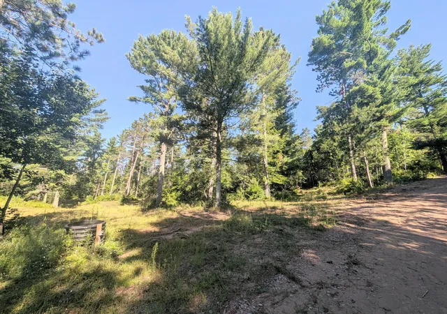 Photo 4 of Land for sale at 3380 W Highway 63, Springbrook, WI 54875 | MLS# 7121855 | Listing updated on 2026-09-02
