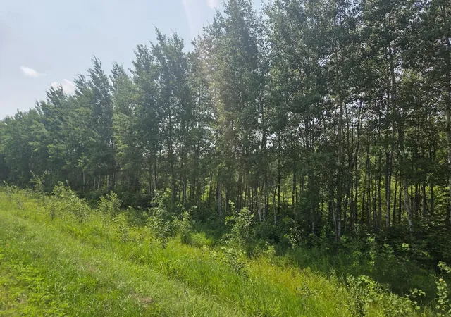 Photo 1 of Sale Pending at County E Road 53, Mizpah, MN 56660 | MLS# 7121893 | Listing updated on 2026-08-05
