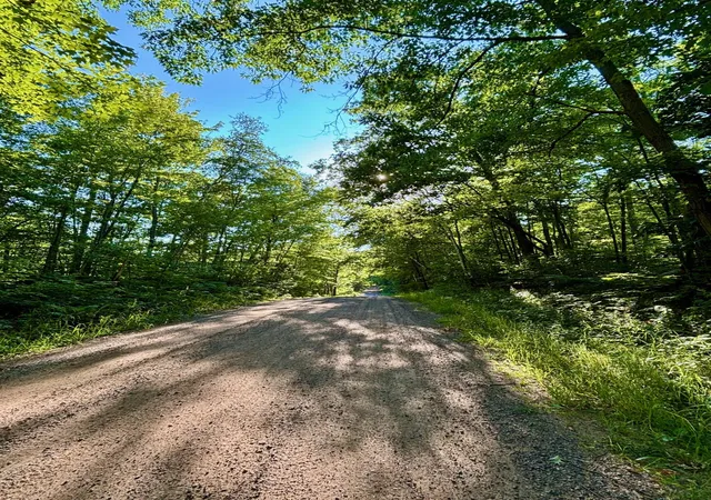 Photo 3 of Land for sale at Tbd Chippewa Trl, Luck, WI 54853 | MLS# 7121912 | Listing updated on 2026-08-06