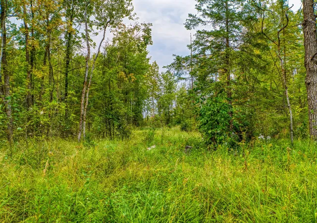 37th image of 12479 Battle Rd Ne, Blackduck, MN 56630 | MLS# 7121920