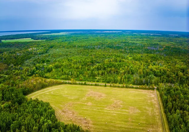 Photo 3 of Land for sale at 12479 Battle Rd Ne, Blackduck, MN 56630 | MLS# 7121920 | Listing updated on 2026-08-05