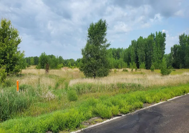Photo 3 of Land for sale at Xxx County Rd 37, Maynard, MN 56260 | MLS# 7122022 | Listing updated on 2026-08-27