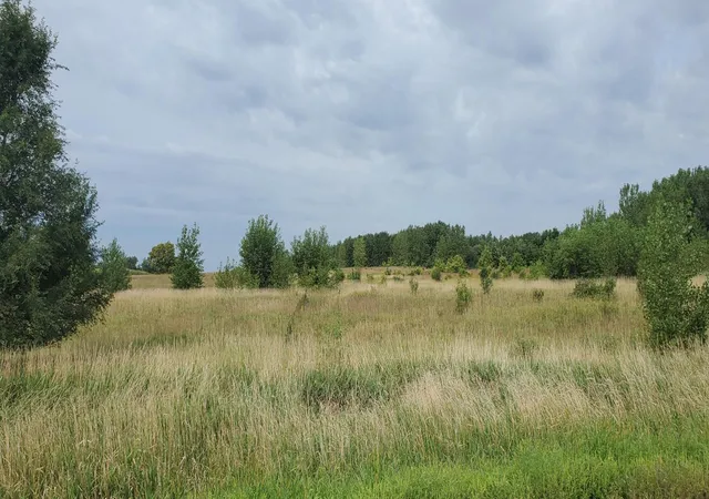 Photo 3 of Land for sale at Xxx County Rd 37, Maynard, MN 56260 | MLS# 7122022 | Listing updated on 2026-08-27