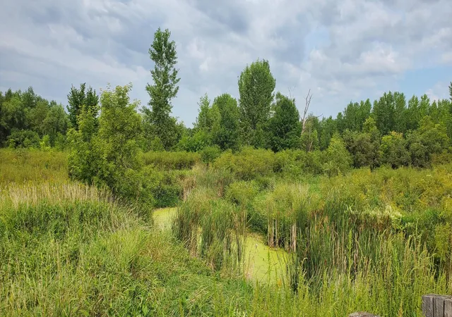 Photo 4 of Land for sale at Xxx County Rd 37, Maynard, MN 56260 | MLS# 7122022 | Listing updated on 2026-08-27