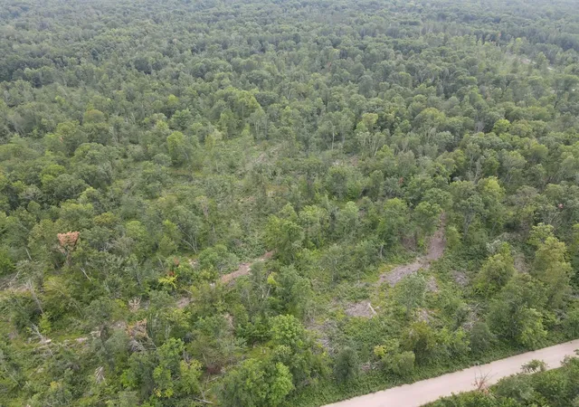 10th image of Tbd 452nd St, Solway, MN 56678 | MLS# 7122042