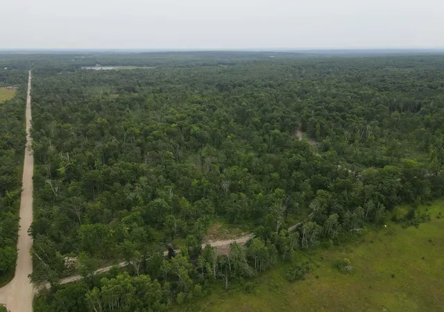1st image of Tbd 452nd St, Solway, MN 56678 | MLS# 7122042