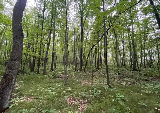 26th image of 2649 Quail Ave, Brook Park, MN 55007 | MLS# 7122379