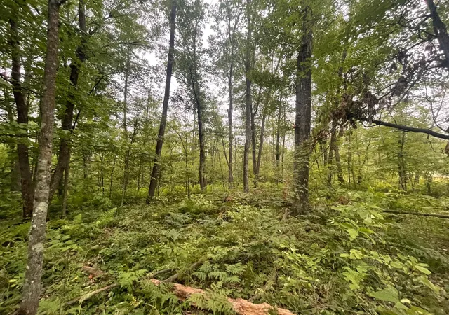 2nd image of 2668 Quail St, Brook Park, MN 55007 | MLS# 7122393