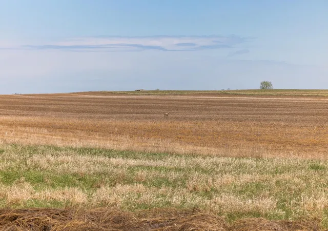 Photo 2 of Land for sale at Tbd Sec 24 2 Ave Se Lot 1, North Lemmon, ND 58639 | MLS# 7122397 | Listing updated on 2026-08-05