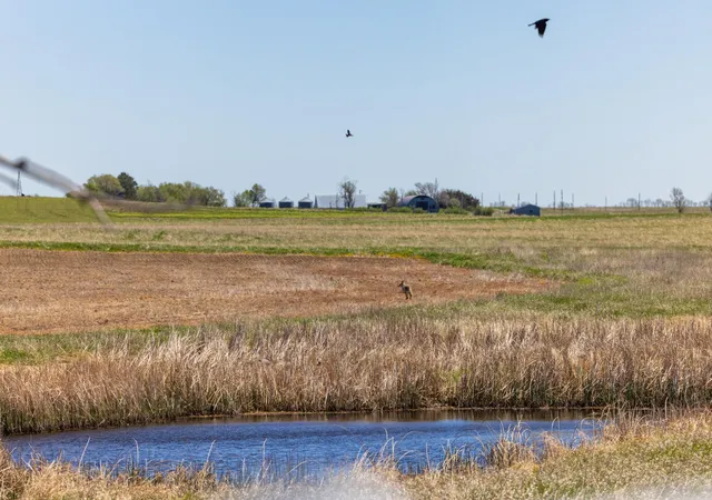 Photo 4 of Sale Pending at Tbd Sec 24 2 Ave SE Lot 1, North Lemmon, ND 58639 | MLS# 7122397 | Listing updated on 2026-10-05