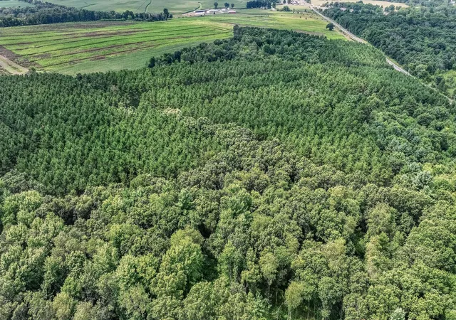 57th image of N8481 Kleba Rd, Hixton, WI 54635 | MLS# 7122413