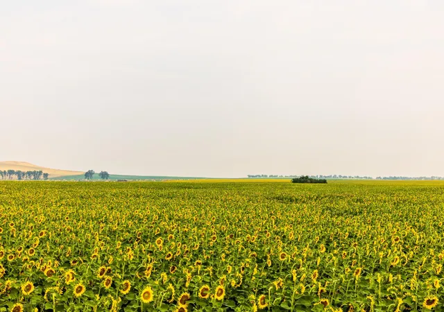 Photo 3 of Sale Pending at Tbd Sec 24 31 St SE Lot 2, North Lemmon, ND 58639 | MLS# 7122422 | Listing updated on 2026-10-05