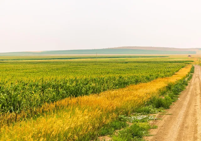 Photo 29 of Land for sale at Tbd Sec 26 4 Ave Se Lot, North Lemmon, ND 58639 | MLS# 7122438 | Listing updated on 2026-08-05