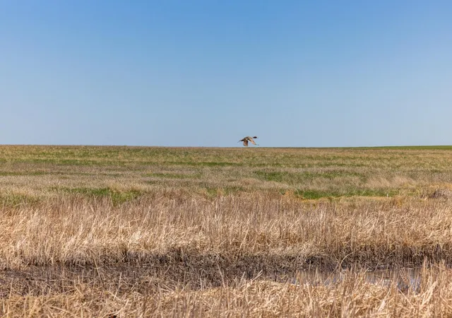 Photo 23 of Land for sale at Tbd Sec 25 31 St Se Lot 6, North Lemmon, ND 58639 | MLS# 7122453 | Listing updated on 2026-08-05