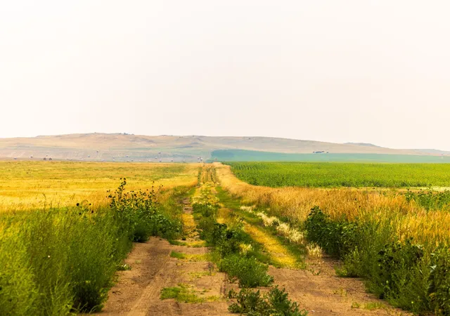 Photo 4 of Sale Pending at Tbd Sec 36 4 Ave SE Lot 7, North Lemmon, ND 58639 | MLS# 7122468 | Listing updated on 2026-10-06