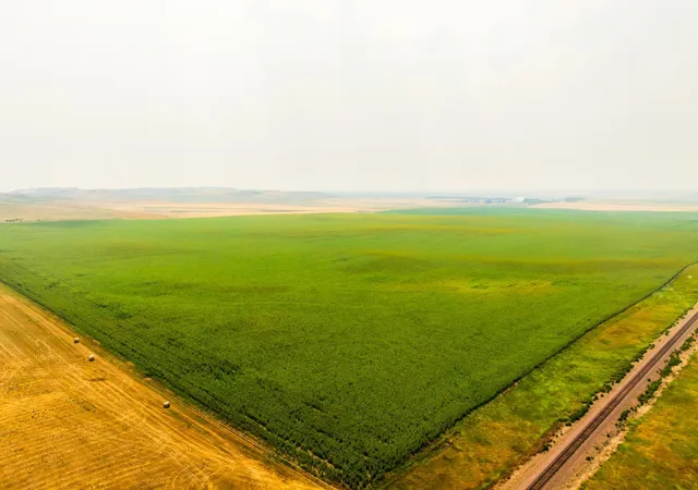 Photo 1 of Land for sale at Tbd Sec 35 31 St Se Lot 8, North Lemmon, ND 58639 | MLS# 7122477 | Listing updated on 2026-08-05