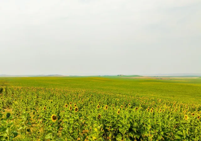 Photo 34 of Land for sale at Tbd Sec 35 31 St Se Lot 8, North Lemmon, ND 58639 | MLS# 7122477 | Listing updated on 2026-08-05