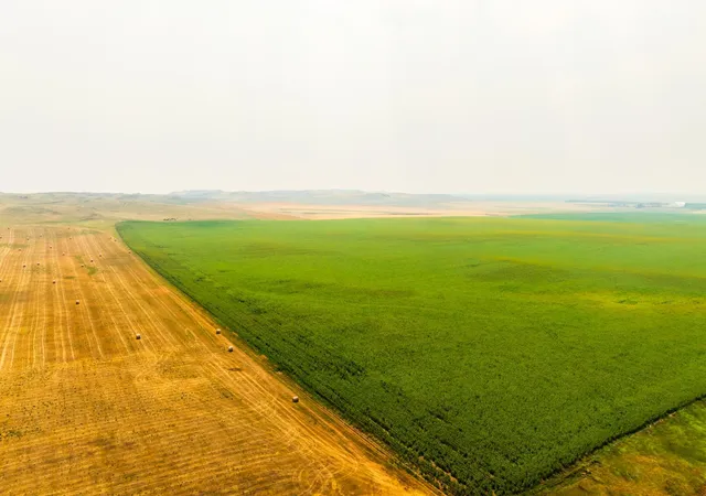 Photo 2 of Land for sale at Tbd Sec 35 31 St SE Lot 8, North Lemmon, ND 58639 | MLS# 7122477 | Listing updated on 2026-08-05
