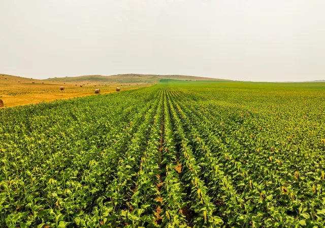 Photo 3 of Land for sale at Tbd Sec 35 31 St SE Lot 8, North Lemmon, ND 58639 | MLS# 7122477 | Listing updated on 2026-08-05