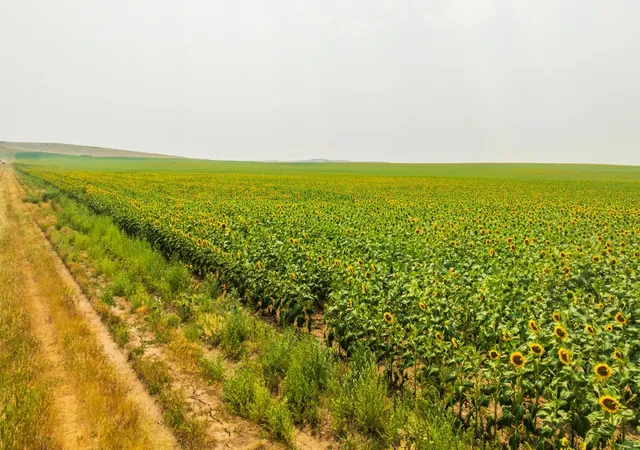 Photo 4 of Land for sale at Tbd Sec 35 31 St SE Lot 8, North Lemmon, ND 58639 | MLS# 7122477 | Listing updated on 2026-08-05