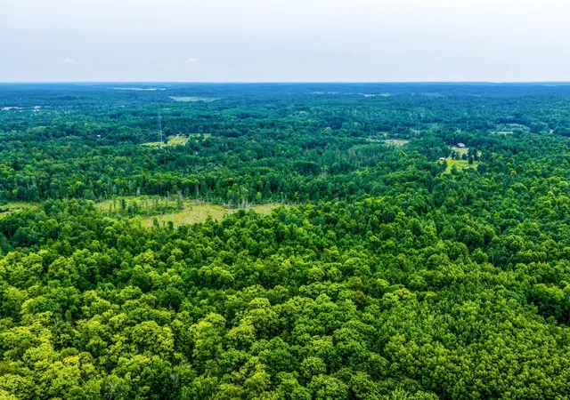 2nd image of Tbd Scenic Hwy, Pennington, MN 56663 | MLS# 7122482
