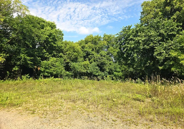Photo 3 of Land for sale at 16xxx 107th Street Nw, South Haven, MN 55382 | MLS# 7122490 | Listing updated on 2026-09-03