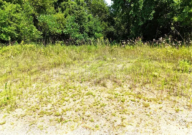 Photo 3 of Land for sale at 16xxx 107th Street NW, South Haven, MN 55382 | MLS# 7122490 | Listing updated on 2026-09-03