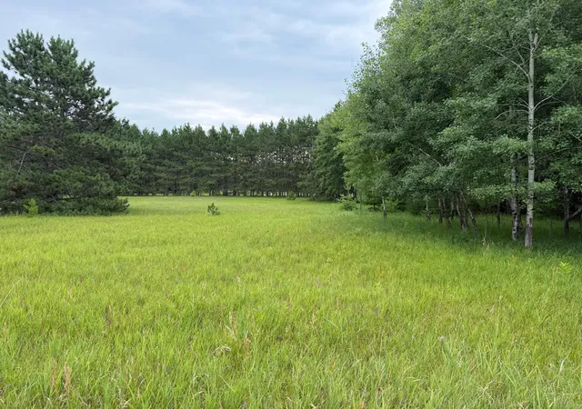 2nd image of Lot 44 Hanscom Lake Trail Wy, Danbury, WI 54830 | MLS# 7122495