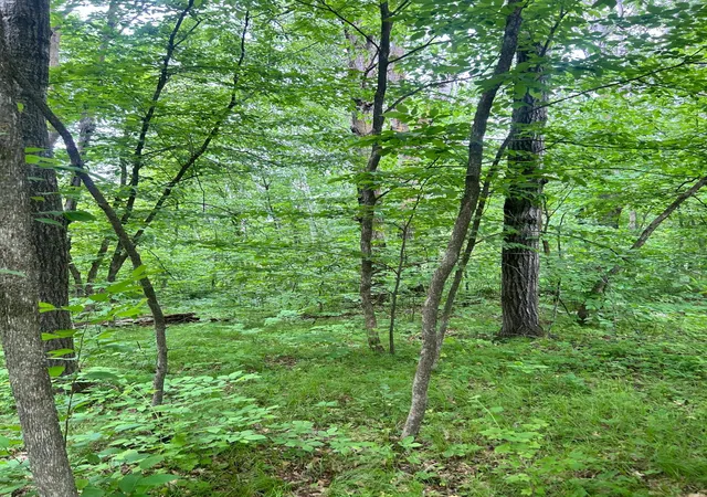 1st image of Tbdxxx Flintstone Road, Cushing, MN 56443 | MLS# 7122533