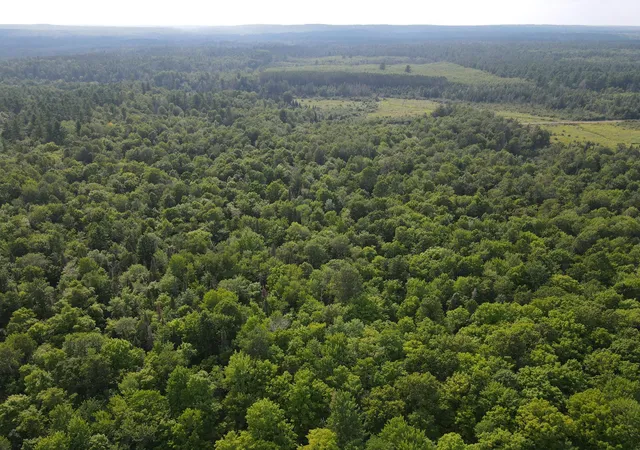 25th image of Lot 3 Smith Rd, Couderay, WI 54828 | MLS# 7122558